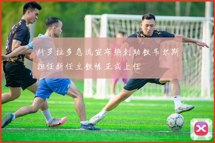 科罗拉多急流宣布热刺助教韦尔斯担任新任主教练正式上任