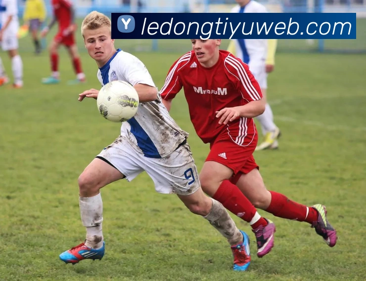 乐动体育平台生态图