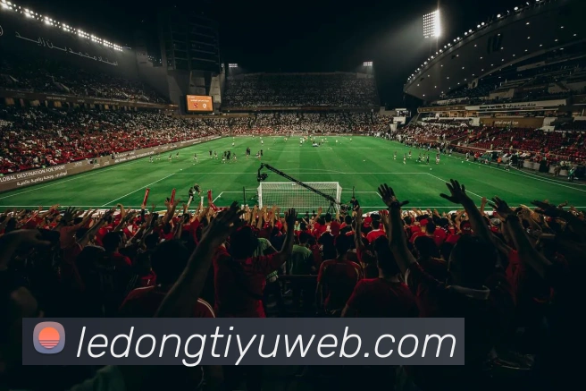 乐动体育全站App